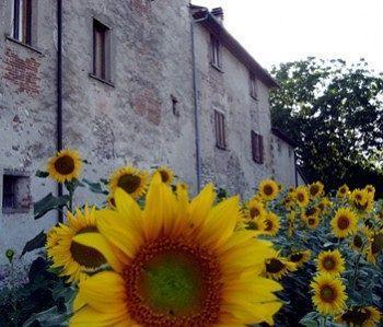 La Casa Nova Βίλα Sansepolcro Εξωτερικό φωτογραφία